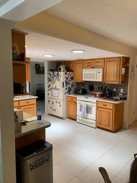 Kitchen - transitional kitchen idea in Orlando