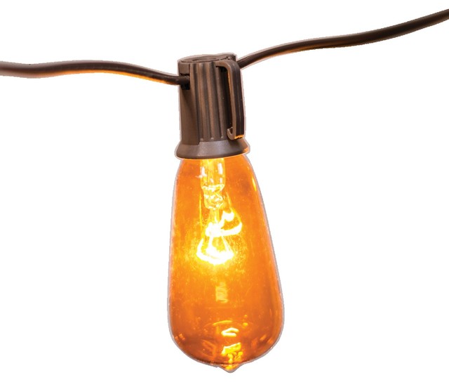 Orange Edison Bulb Light Strand, 10 ct. Traditional Outdoor Rope And String Lights by KP