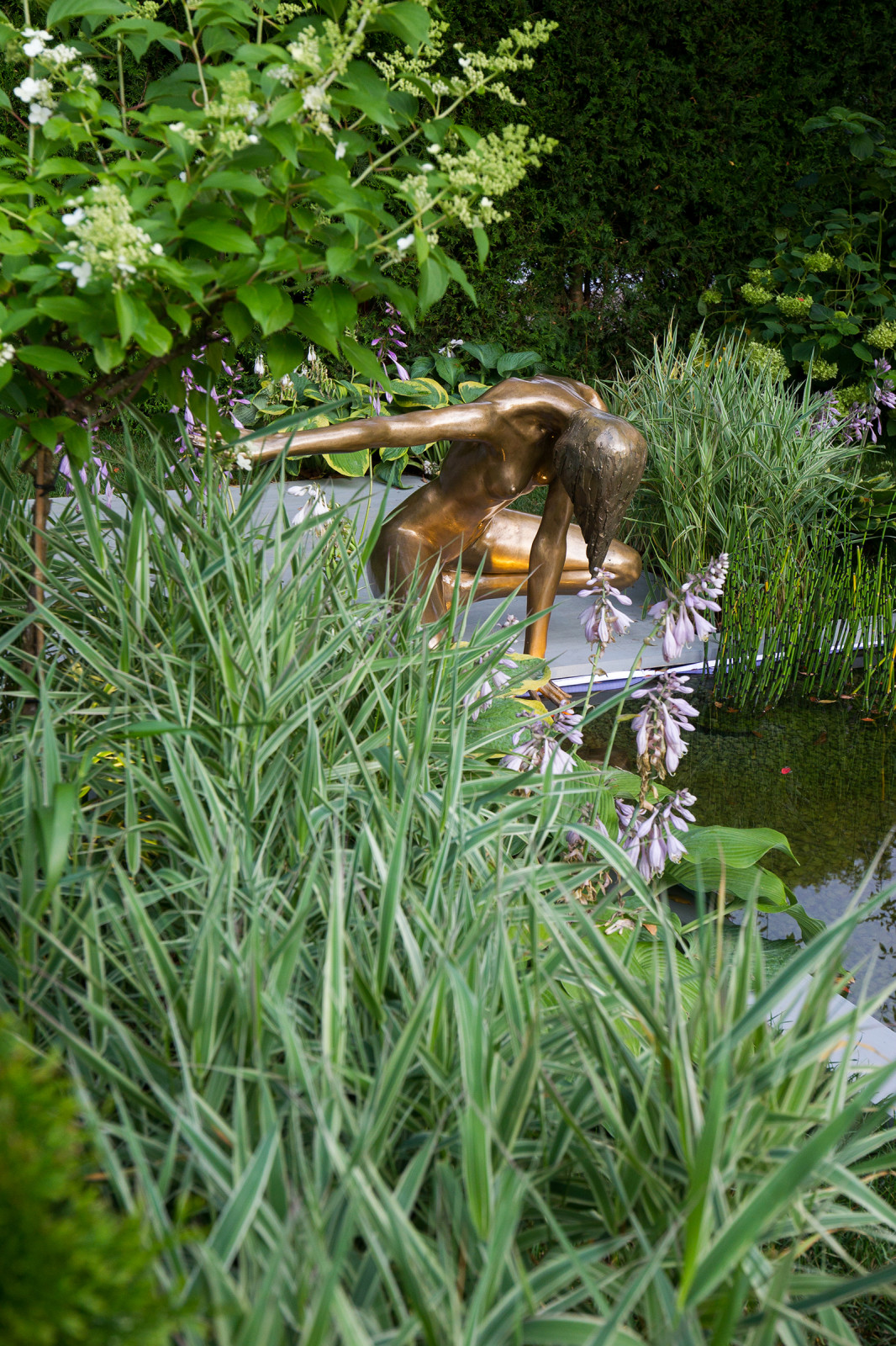 Сад Оксаны Хебородовой Гран-При на Москоу Флауер Шоу ( "Cад Вячеслава Зайцева")