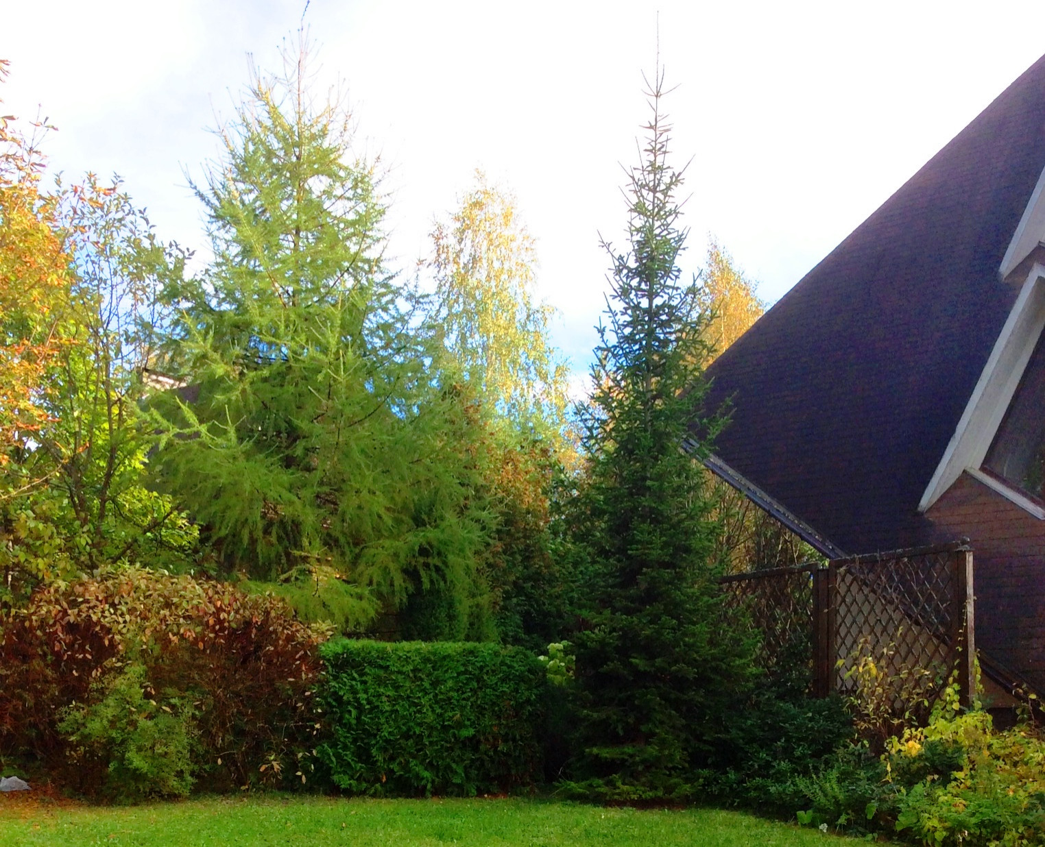 Красив в любое время года