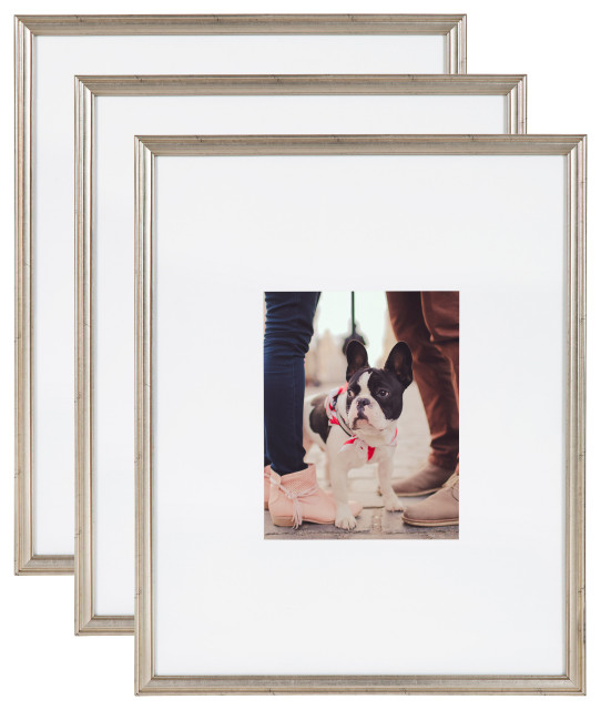 Adlynn Photo Frame Set, Silver, 16x20 Matted to 8x10