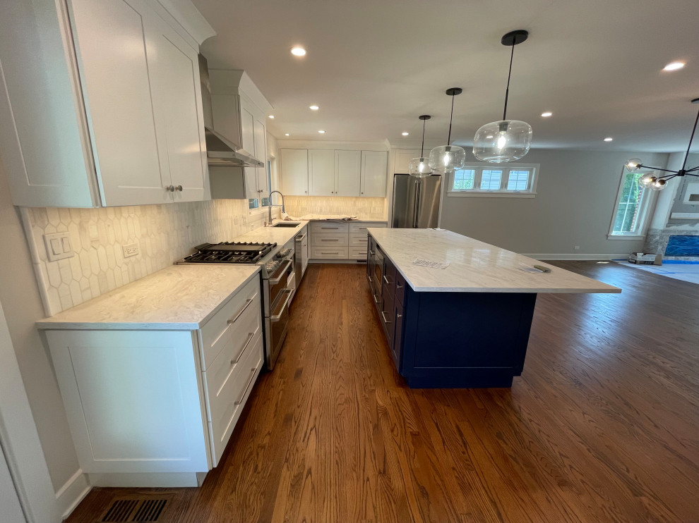 Kitchen - transitional kitchen idea in Chicago