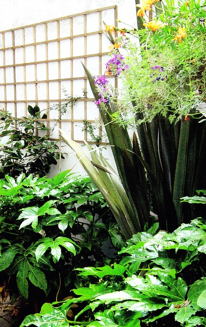 A basement garden klassisk-uteplats