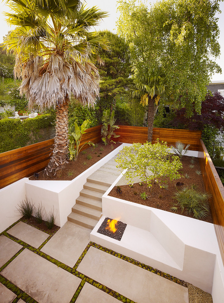 Photo of a contemporary garden in San Francisco with a retaining wall.