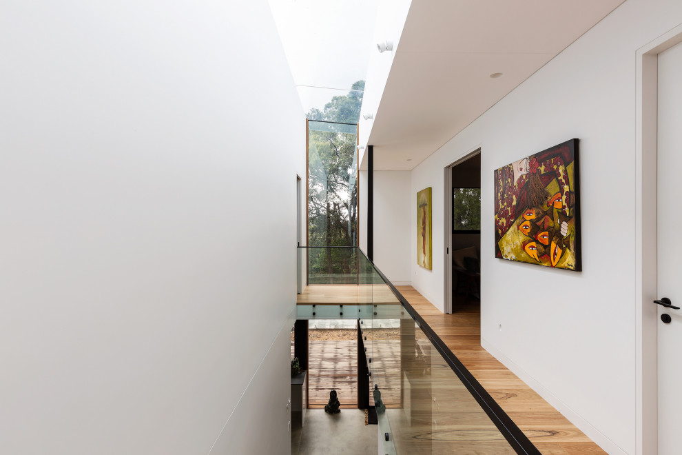 Moderner Flur mit weißer Wandfarbe, hellem Holzboden und beigem Boden in Sydney