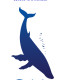 Aloha Pool Services