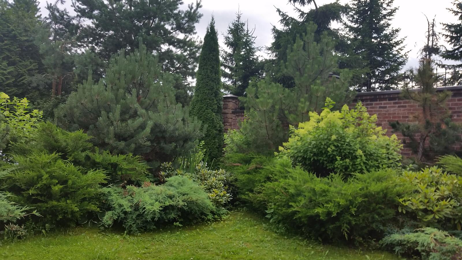 Ландшафтный проект 1