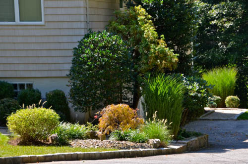 Side Landscaping | Pleasantville NY