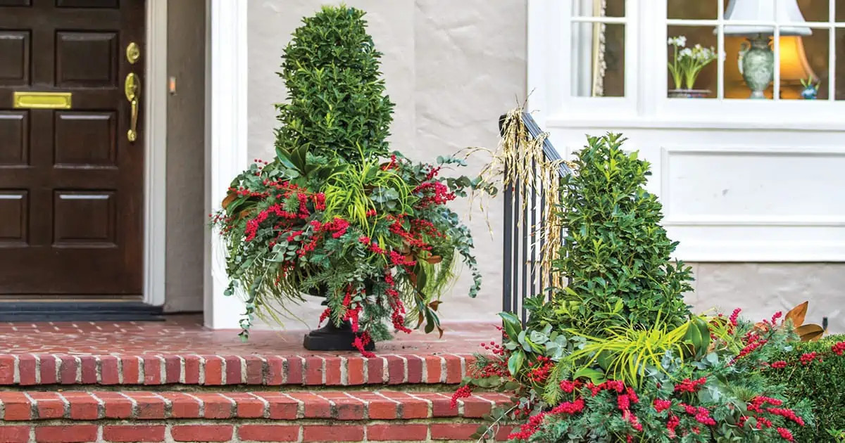 Potted Gardens