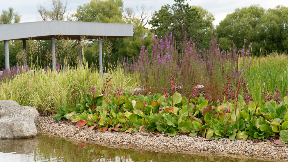 Природный сад. Жуковка XXI век. 2017-2018 гг.