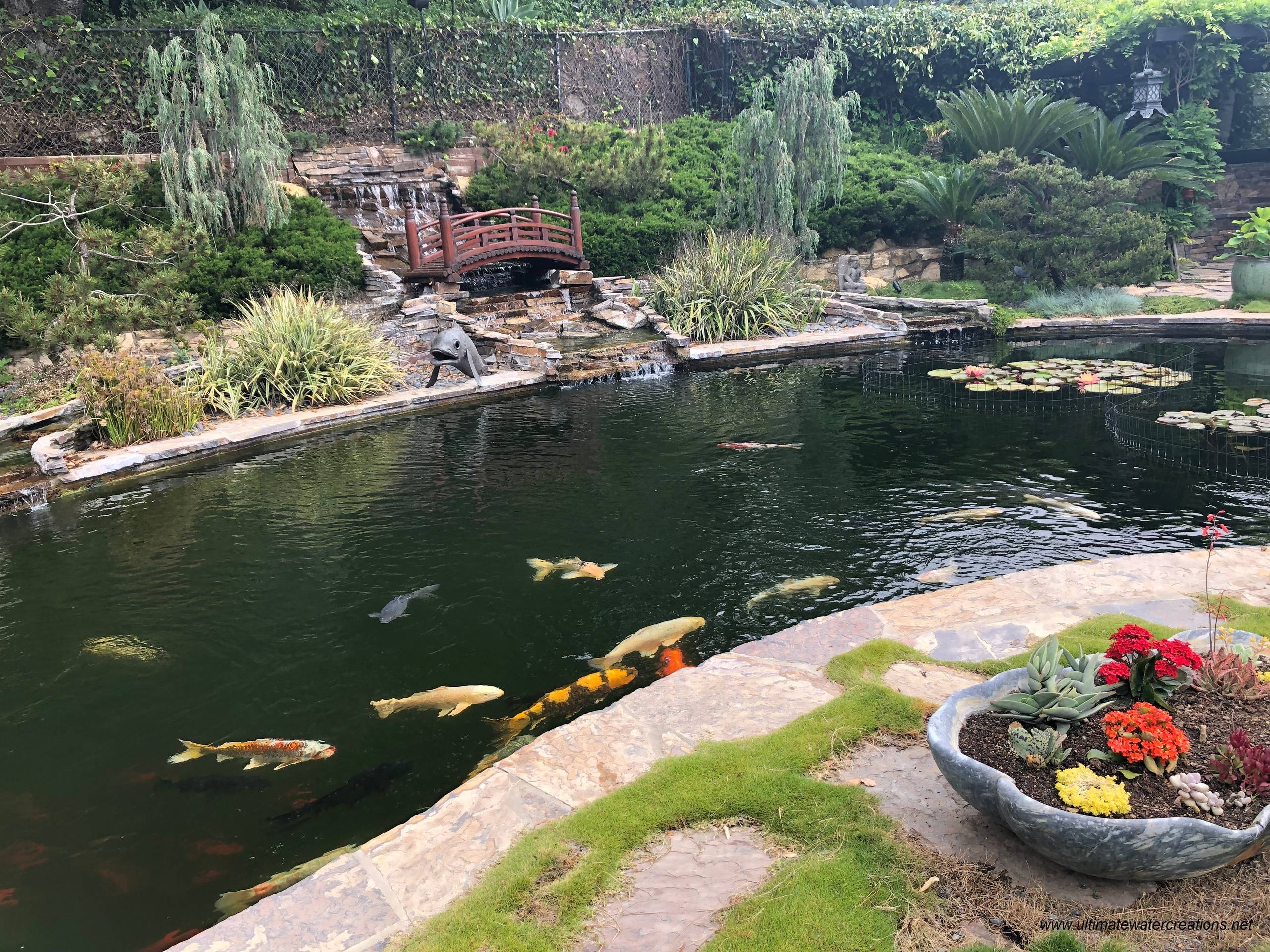 Bel Air - Naturalistic 20'x40' Koi Pond with Landscaping & Bridge