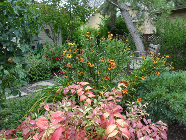 Exuberant Borders modern-garten
