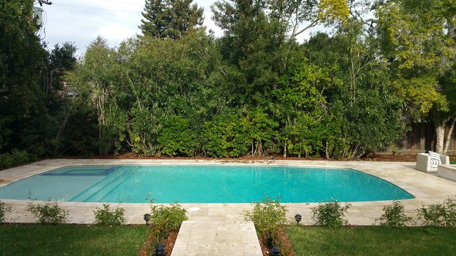 Rectangle Shaped Pools moderne-pool