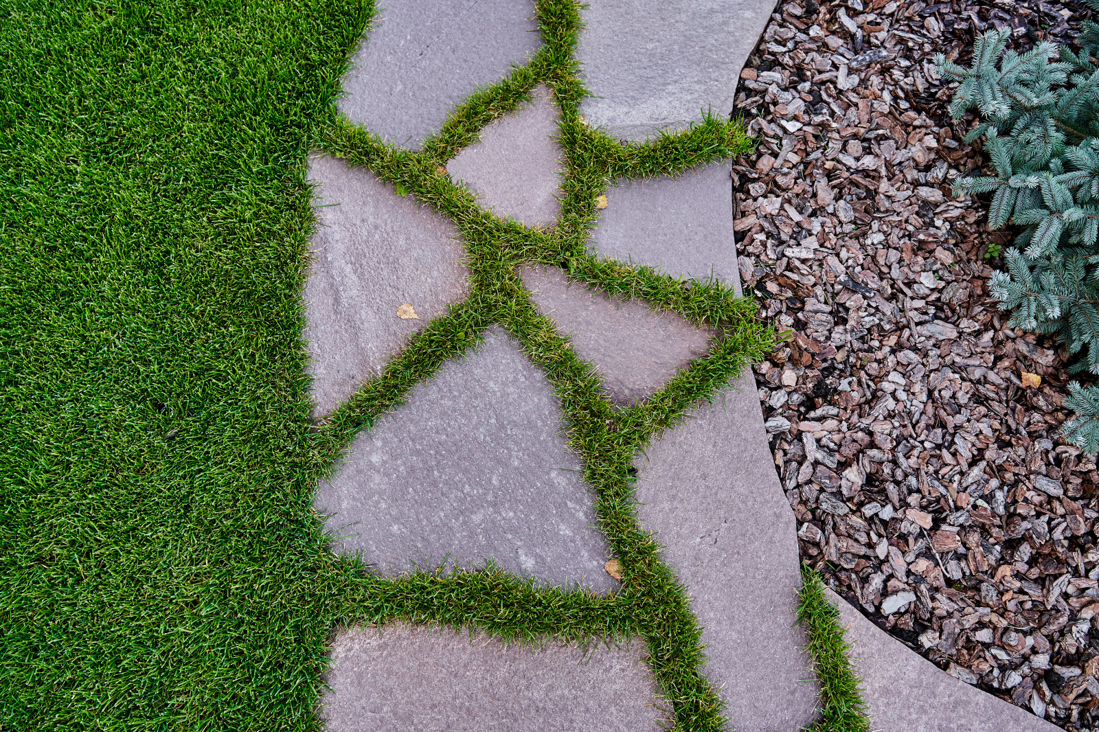 Сад холмов и склонов