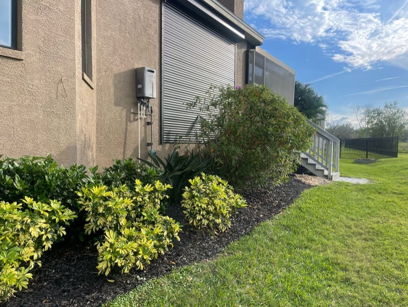 Revamp Landscape New Mulch and Plant Design