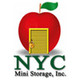 NYC MINI STORAGE INC