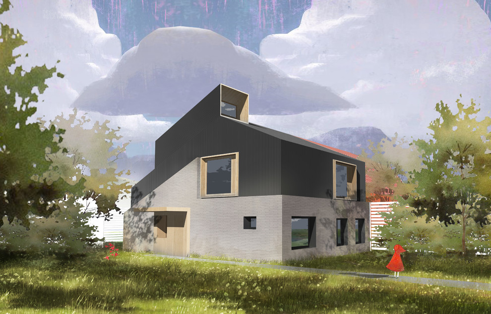 Реконструкция дома в Сходне