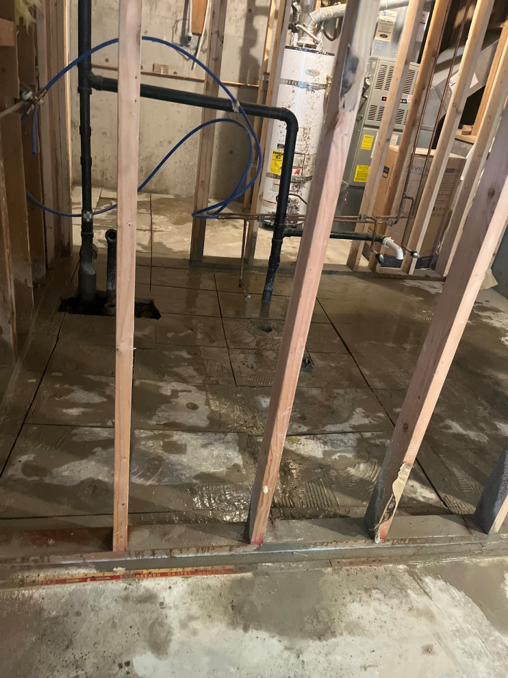Federal Way Basement Remodel