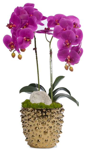 Double Orchid in Gold Spike Pot, Fuchsia