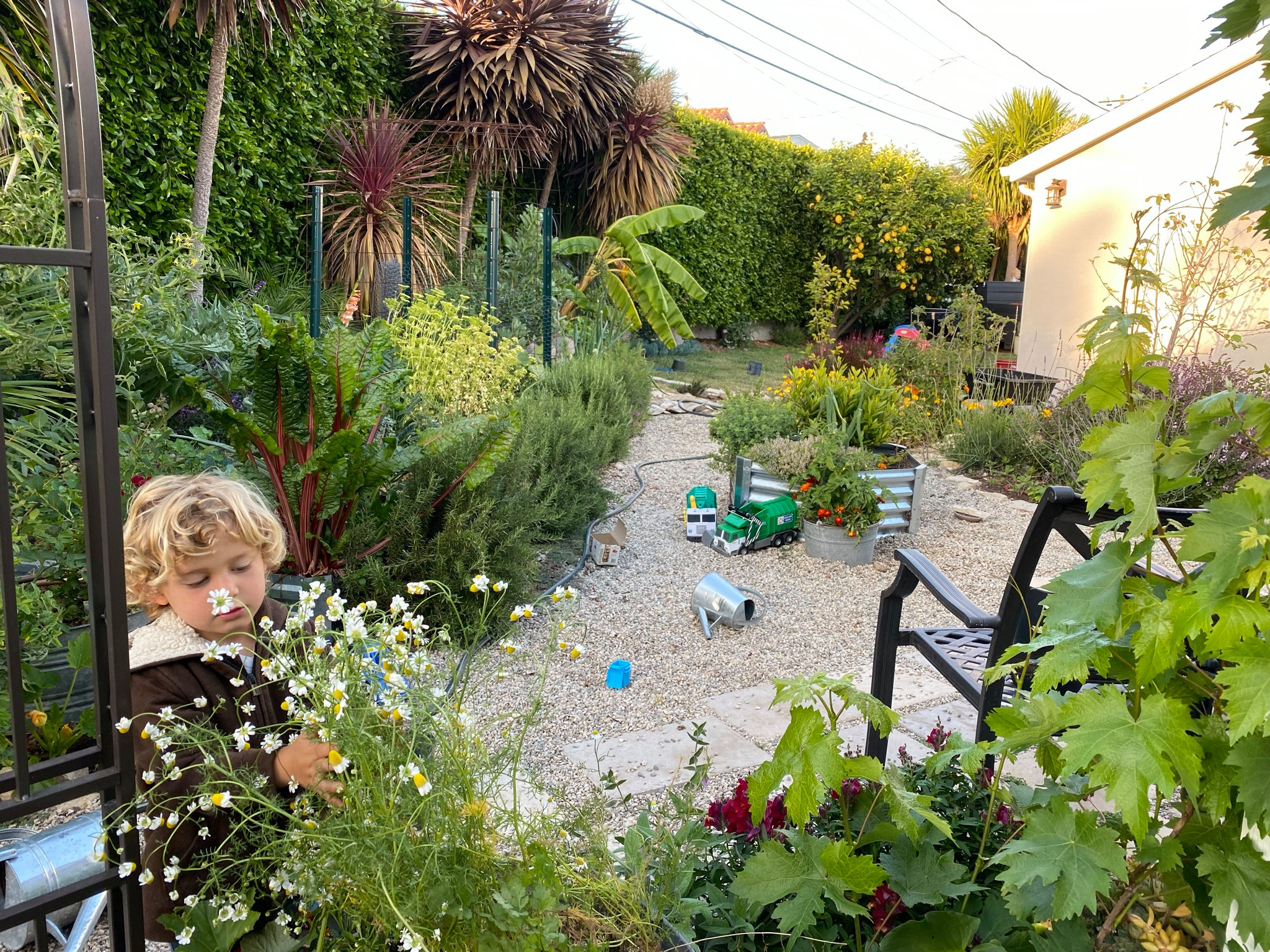 Rustic Kitchen Garden