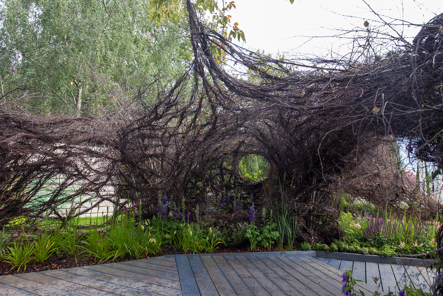 Фотосъемка Сада   по  Метрелинку на MFS 2019 Авторы М,Береснева М. ПРИНТЦ