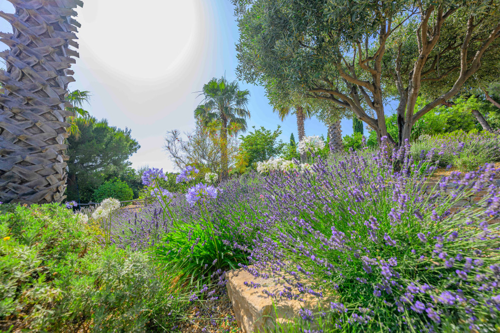 La Ciotat - Jardin suspendu - Photo : Patrice Aïm