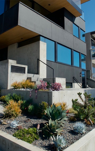 Modern Manhattan Beach Strand front yard with colorful succulent plantings. modern-traedgaard