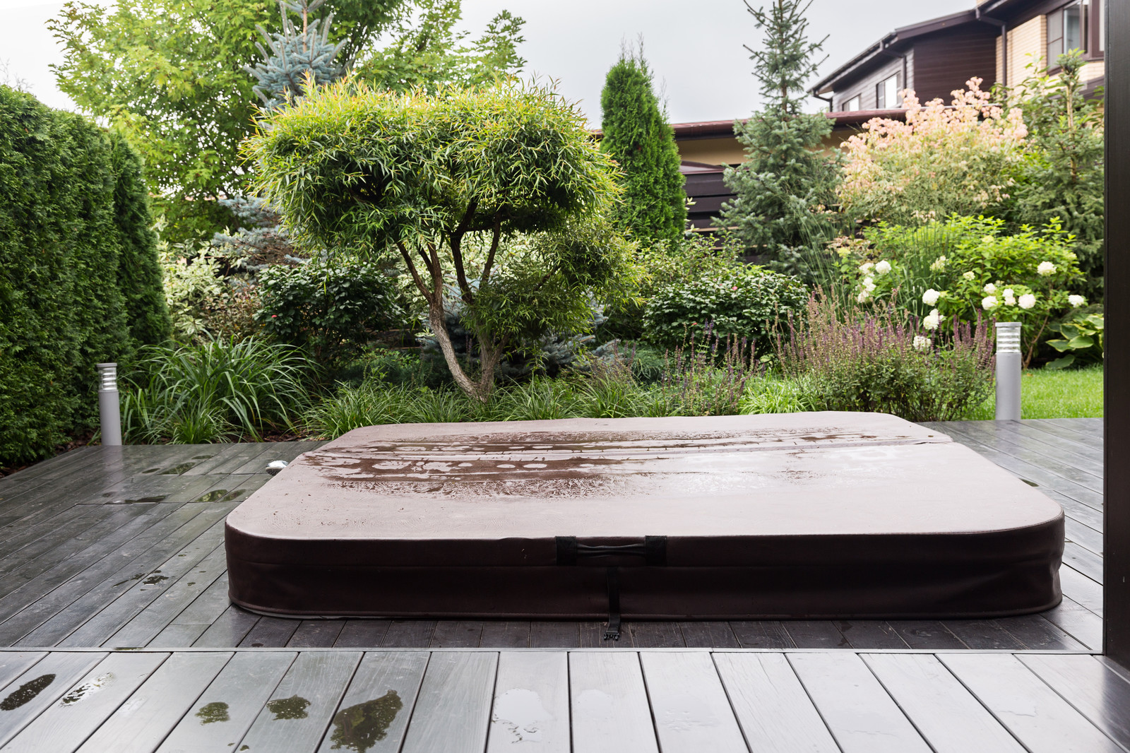 Фотосъёмка сада (к/п Светлогорье)