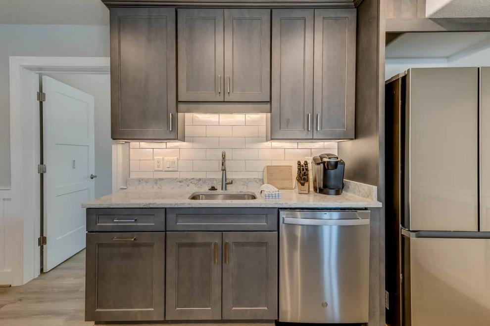 Dolphin Watch (2023)