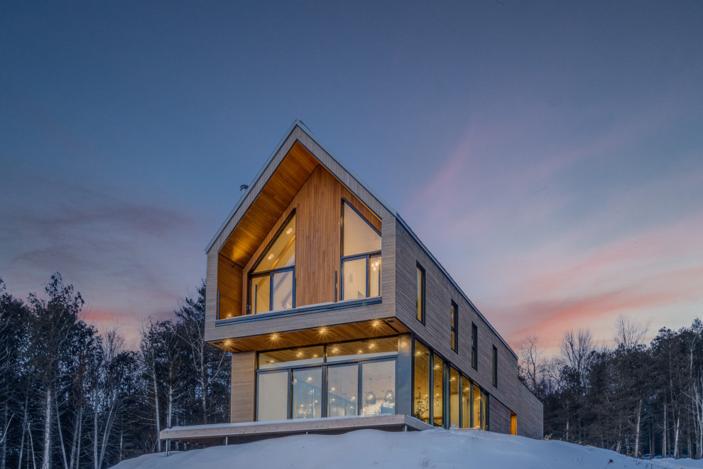 Cette photo montre une façade de maison scandinave en bois avec un toit en métal et un toit gris.