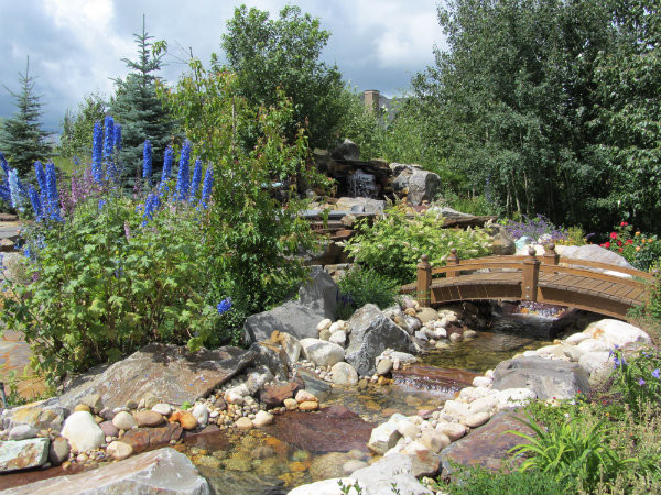 Outdoor Oasis Landscape Design