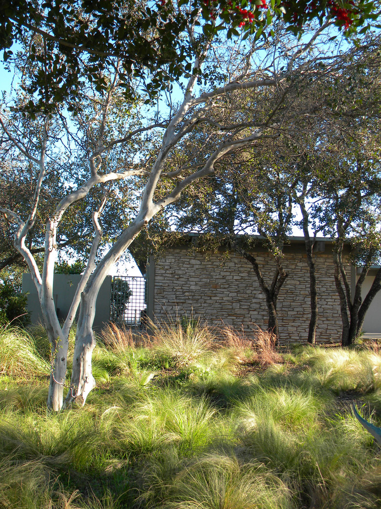 Mid-century Modern Now