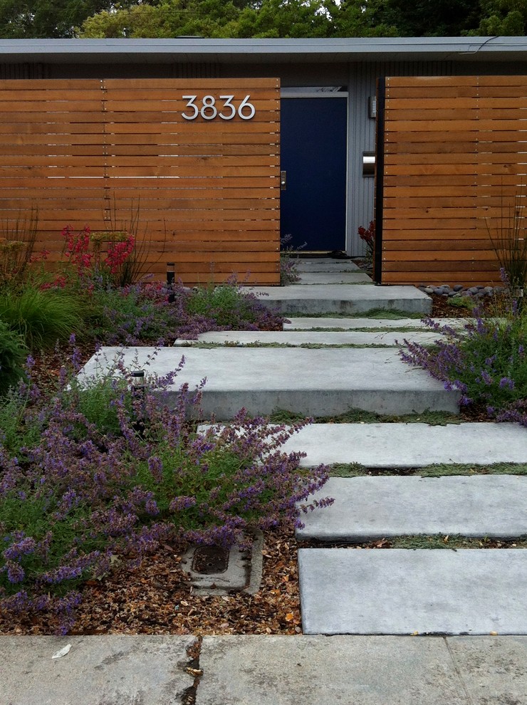 This is an example of a midcentury front yard garden in San Francisco with concrete pavers.