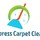 Express Carpet Cleaner