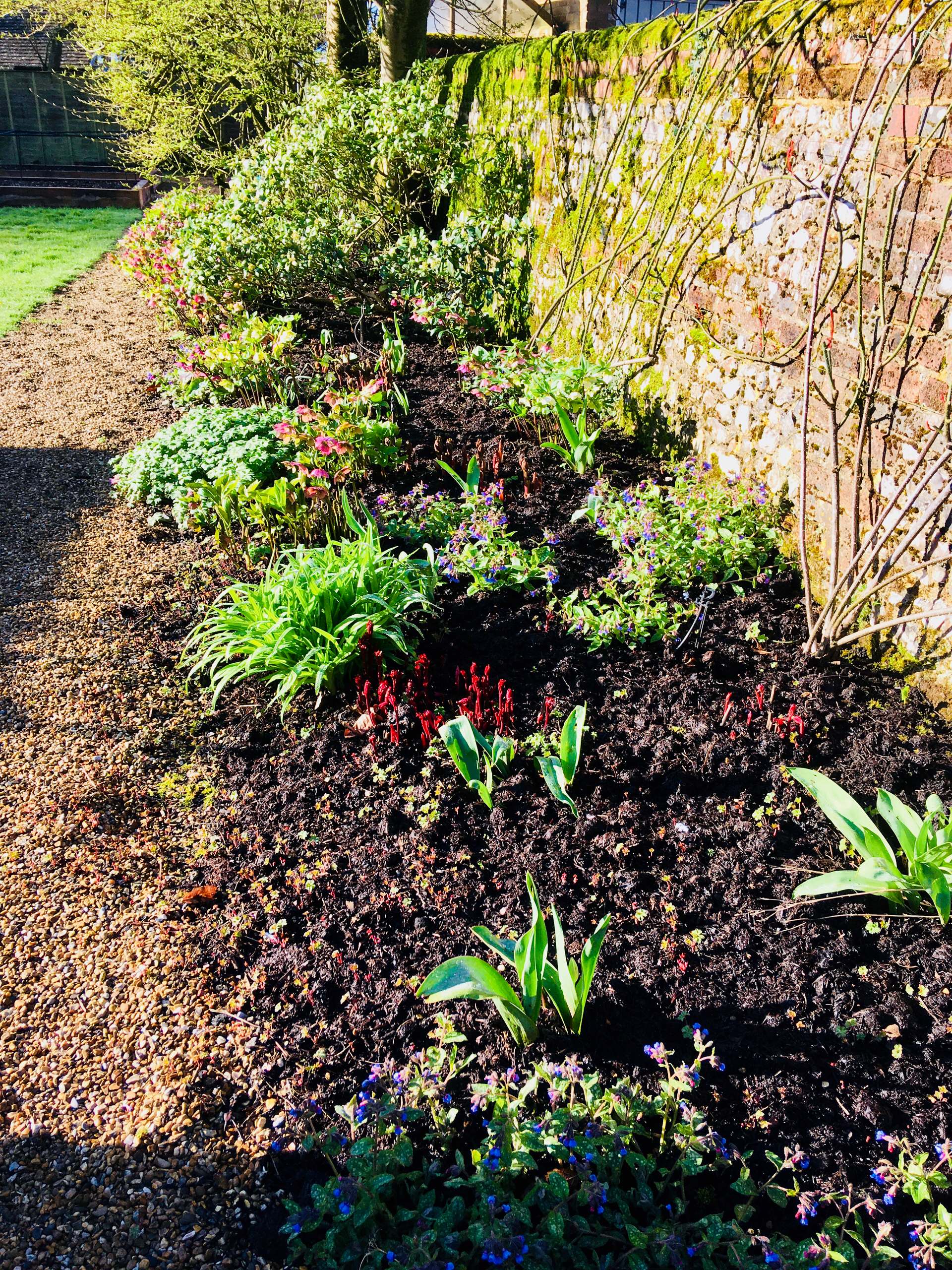 Large Country Garden