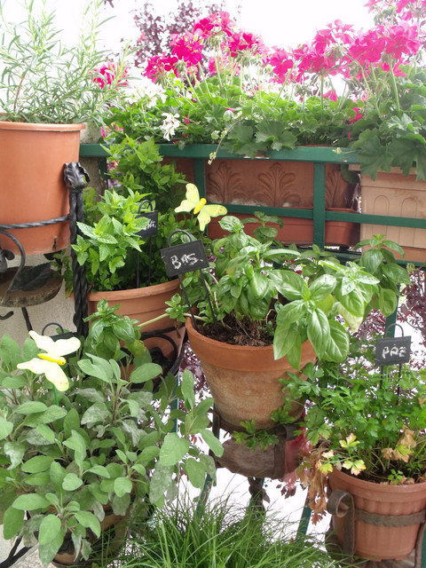 Realizzazioni ed Idee eclectic-deck