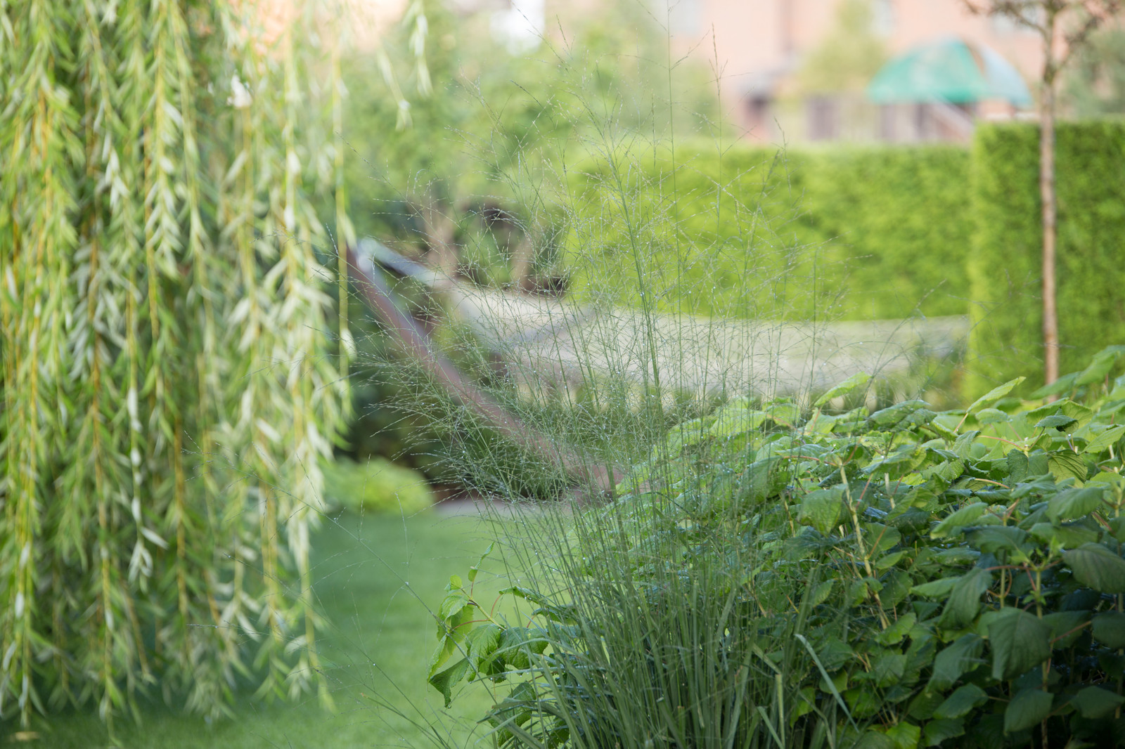 Светлогорье лето 2016