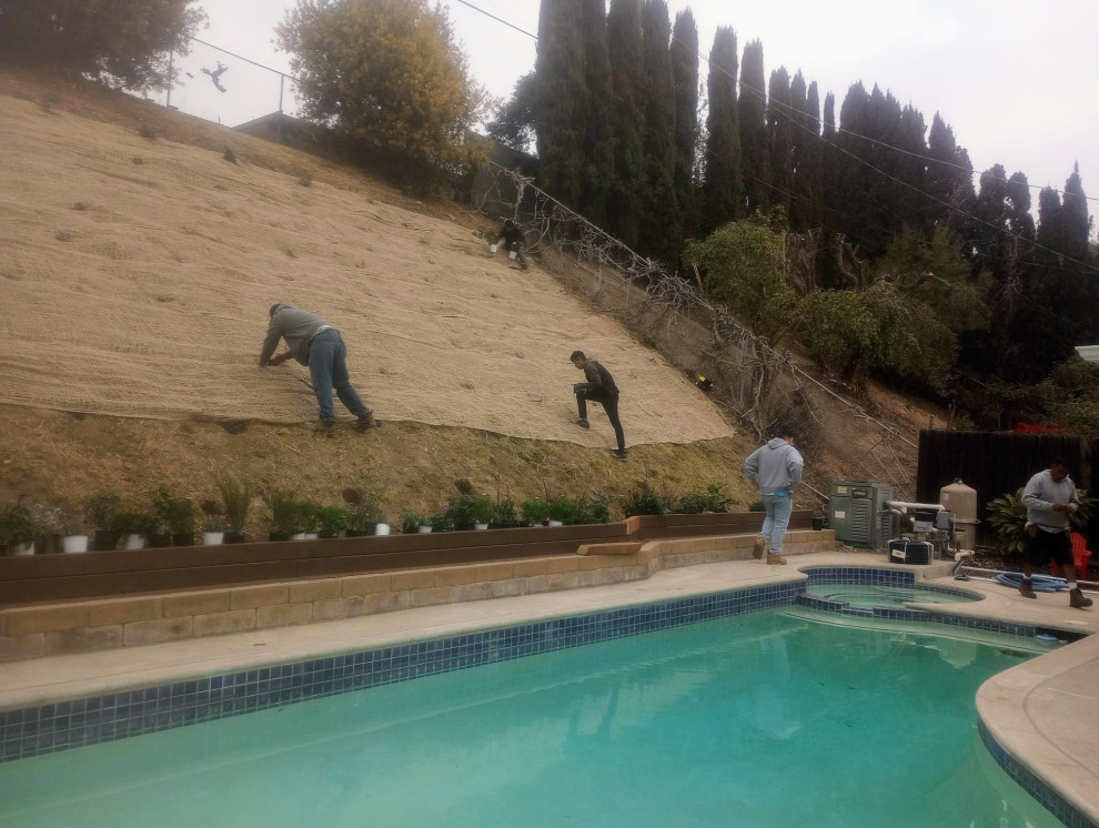 Backyard Renovation