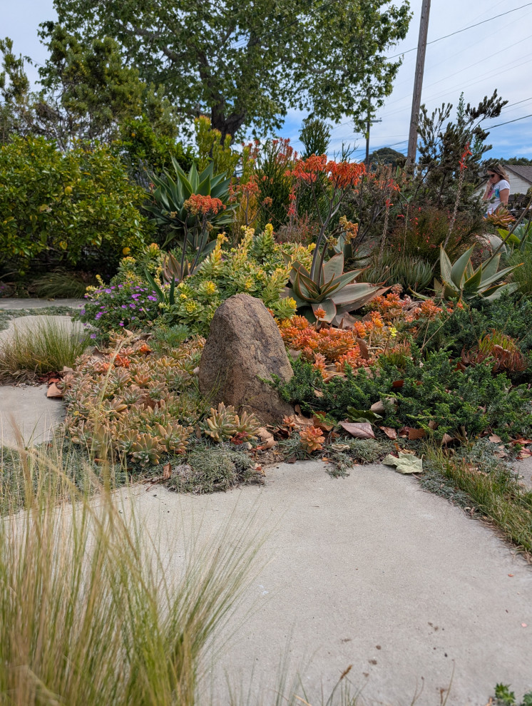 An Artist's Garden