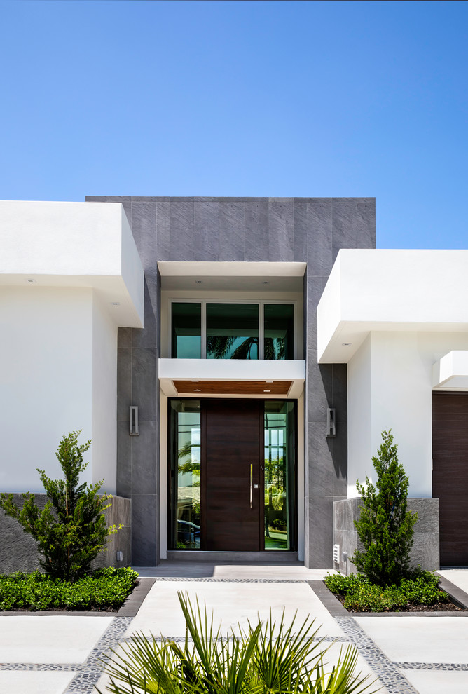 Design ideas for a contemporary front door in Miami with a single front door and a dark wood front door.