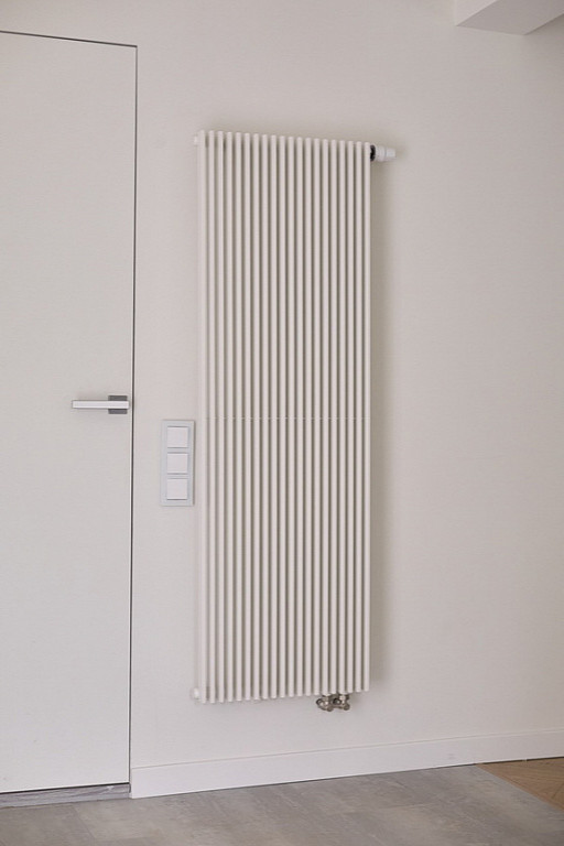 Werkel в новом проекте Анны Доброковской