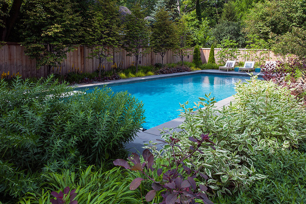 Design ideas for a contemporary pool in Chicago.