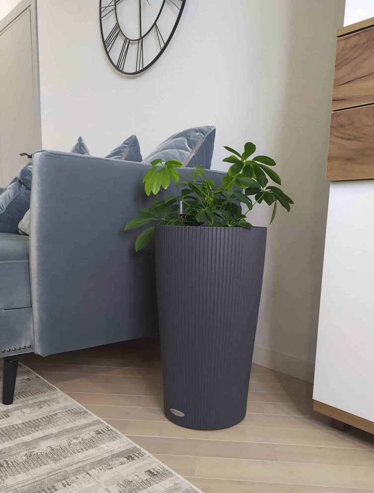 Домашний очаг