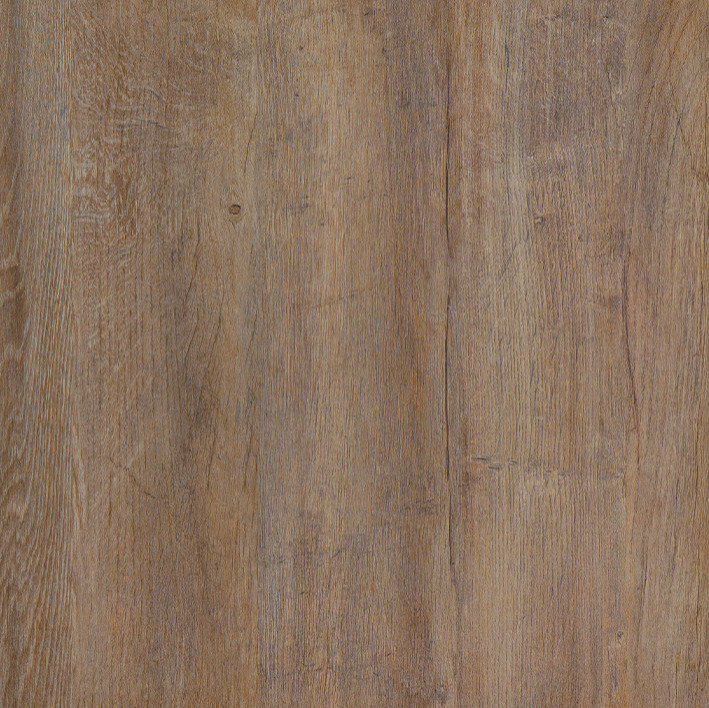 Lakeland Oak 3