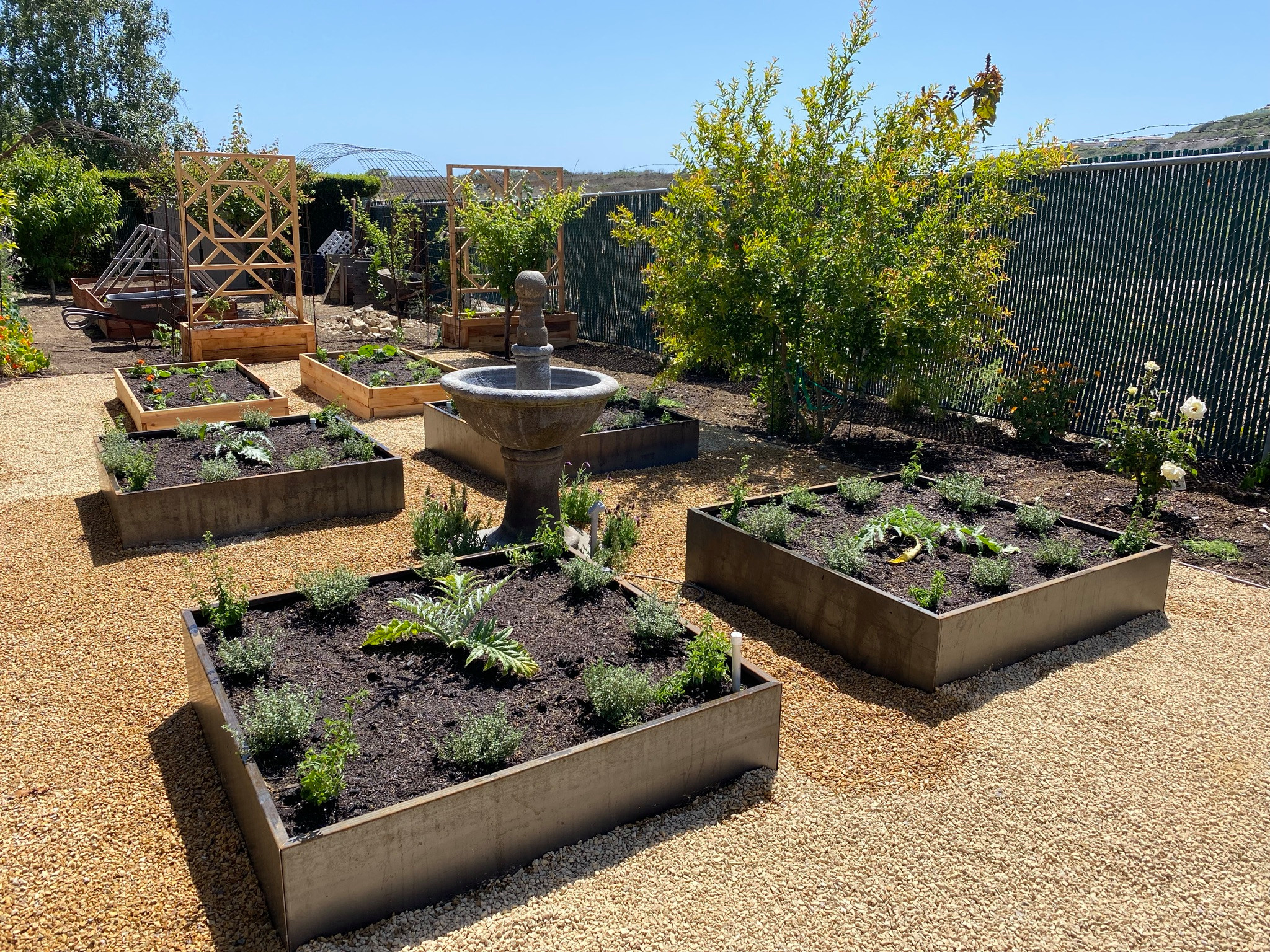 San Pedro, CA - English Potager Style Culinary Garden