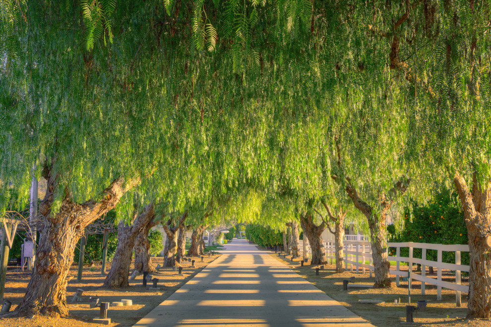 Photo of a traditional front yard driveway in Los Angeles.