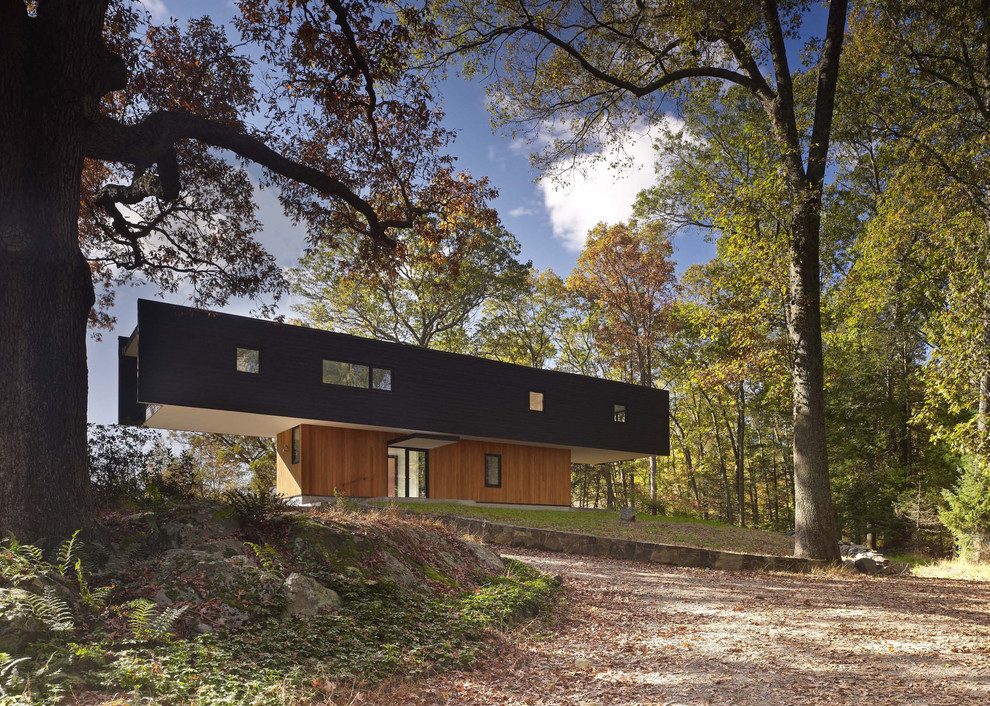 Photo of a modern exterior with wood siding.