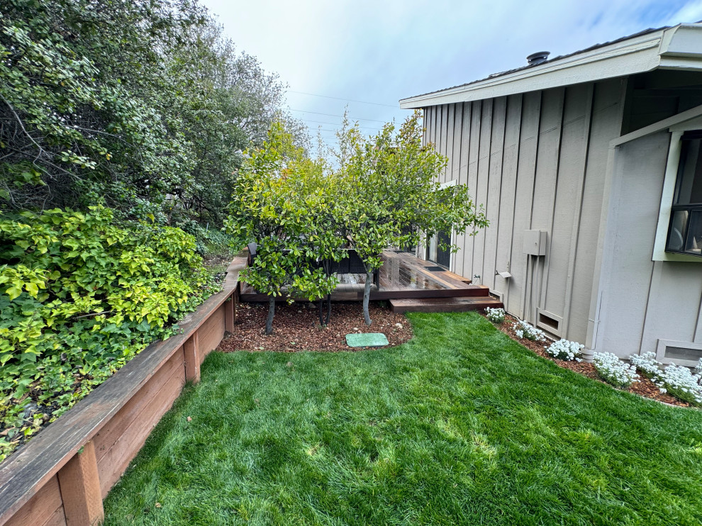 Cupertino Foothills Hillside Yard
