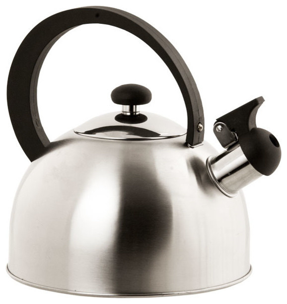 Home Basics Tea Kettle, Stainless Steel - Modern - Kettles - by HOME