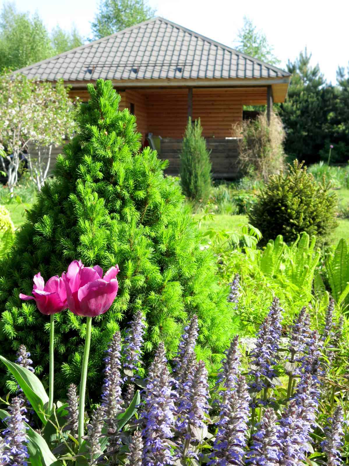 ТЕПЛЫШКО МОЕ. ВЕСНА.